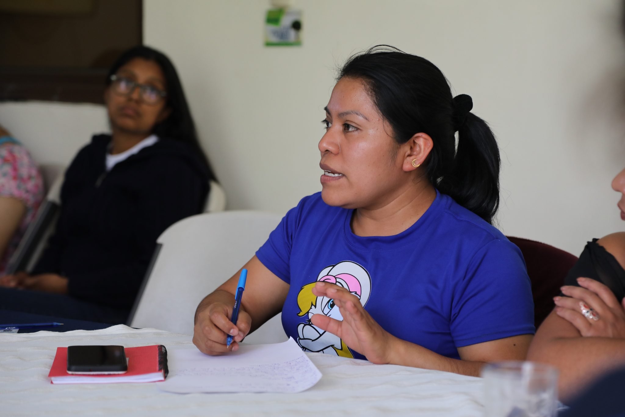 he photo shows Floridalma Bocel Raxtún seated at a table speaking at a meeting. Flory is participating in the UNPRPD joint programmes’s training sessions in Guatemala